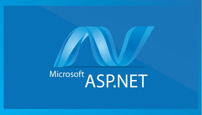ASP.NET Validation Controls: Advantages And Disadvantages