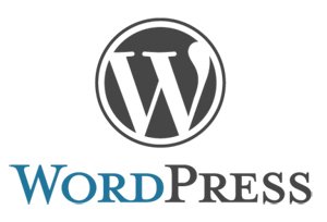 Custom WordPress Theme Design To Get The Flare On Your Business Platform