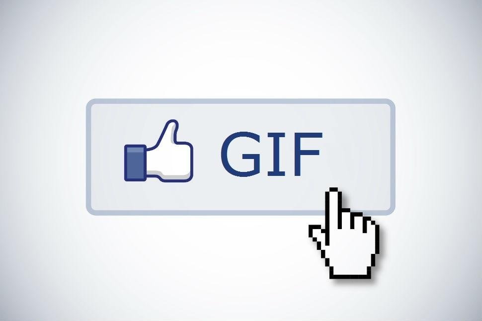 Facebook and Animated GIFs: A Love-Hate Relationship