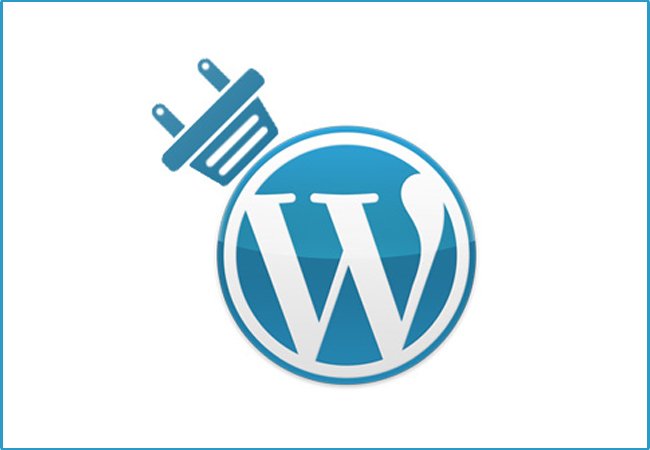 IndiaNIC Plug-in: The Design You Can Trust