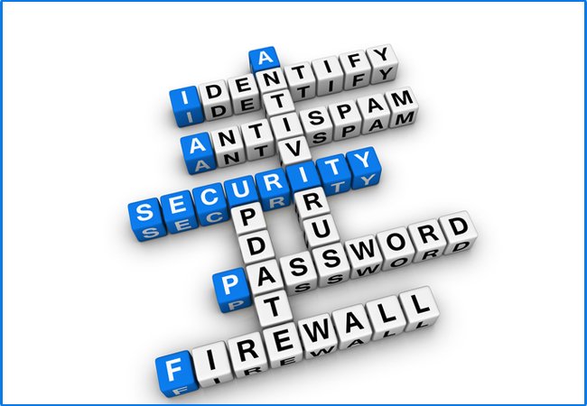 The Need for Personal and Professional Cyber Security