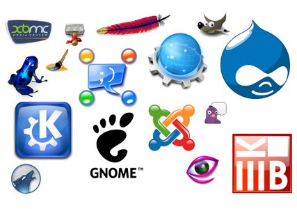 The Way To Get the most out of Open Source Development