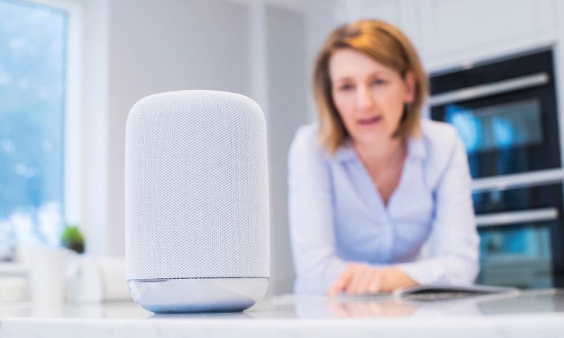 Voice Ordering for Restaurants: Stats, Brands Example, &#038; Benefits