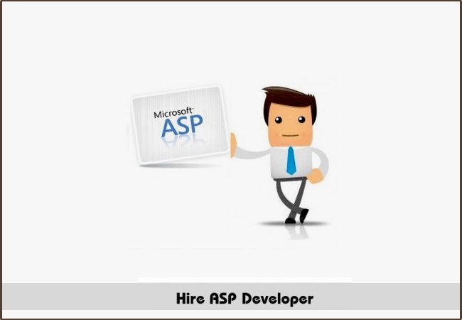 Why You Need to Hire ASP Programmer?
